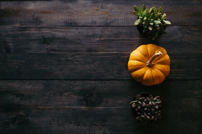 Connect With Consumers Online This Thanksgiving